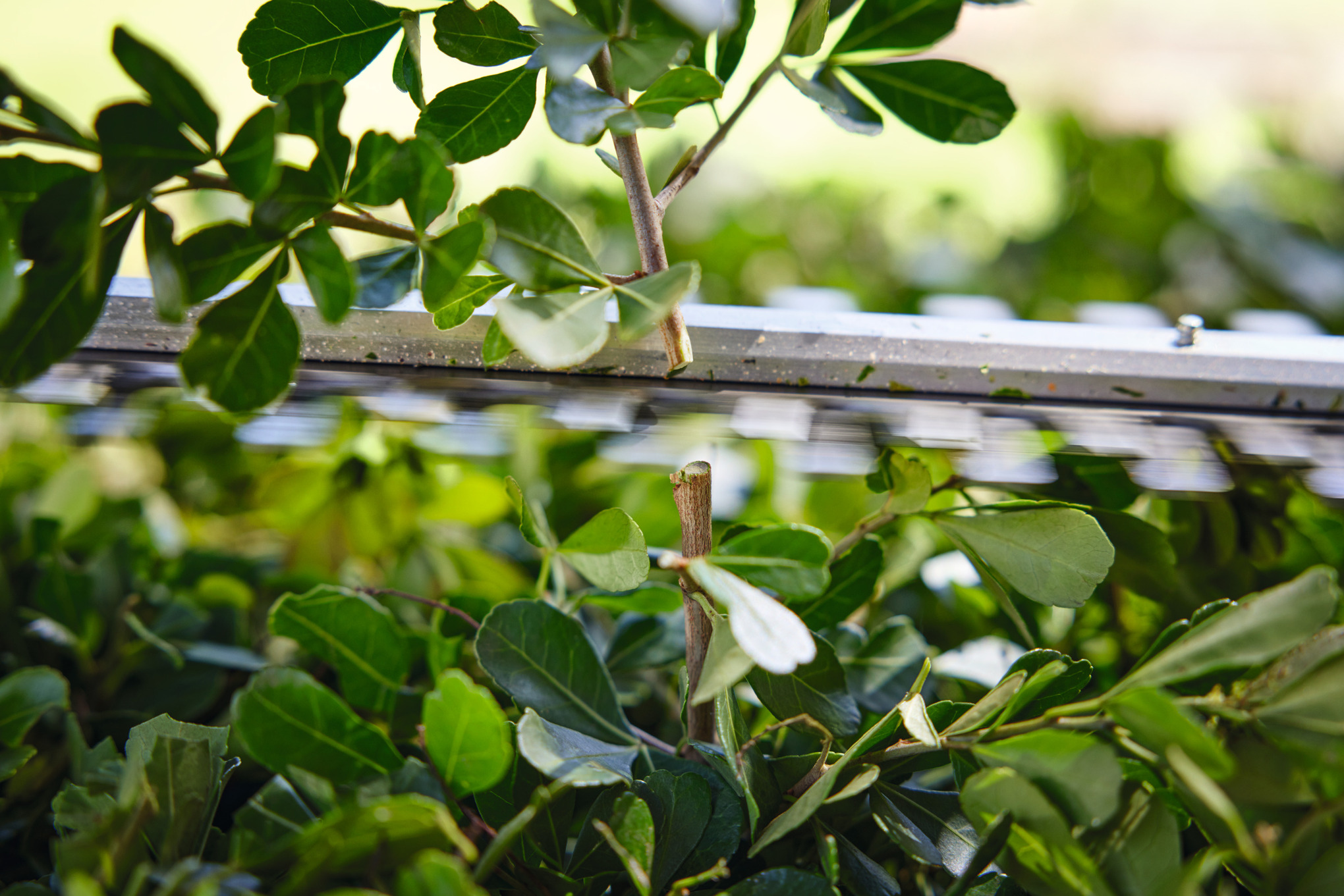 Podador a bateria HSA 40 SET | Bateria AS 2 + Carregador AL 1