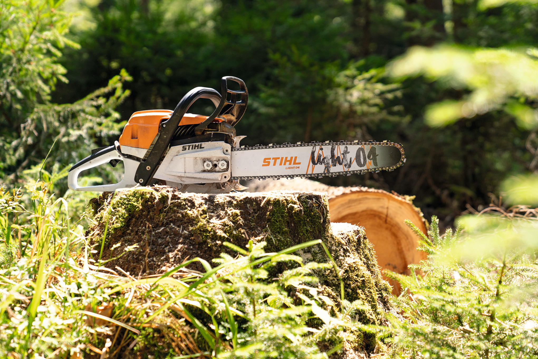 Motosserra a gasolina STIHL MS&nbsp;261&nbsp;C-M sobre um tronco na floresta